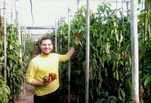 La agricultura en Almería, la huerta de Europa