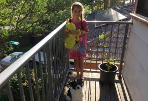Kid dog tomato plant balcony