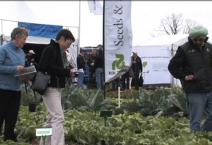 Neue aufregende Salatzutaten