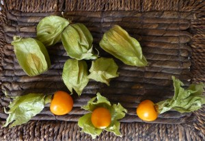 Physalis peruviana : El equilibrio perfecto entre salud y sabor