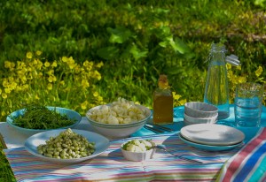 Picnics de primavera 