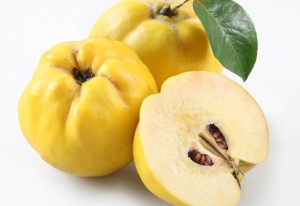 The amazing Quince fruit