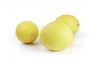 Gladial melons of Rijk Zwaan Gladial melons of Rijk Zwaan