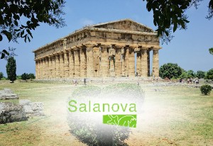 Viaggiando in Italia tra colture e culture: la lattuga - Salanova®-  e il Cilento