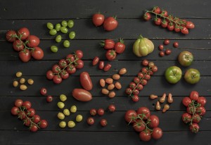 Soorten tomaten: van Roma tomaten tot Coeur de Boeuf