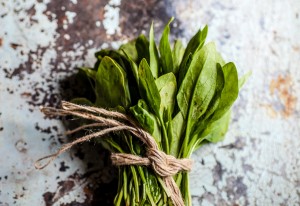 Gesneden ongekookte spinazie bevat meer antioxidanten 