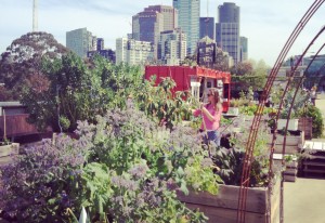 Sky gardens lift health and liveability to sustainable heights