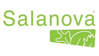 Salanova® Lettuce