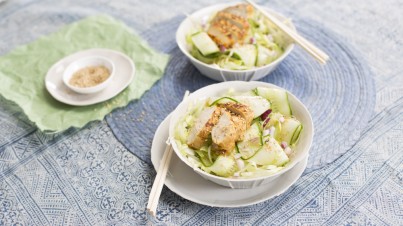 Ensalada agridulce de pepino con pollo