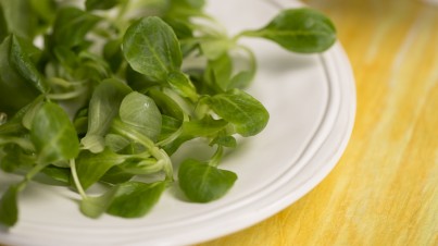 Ensalada de canónigos