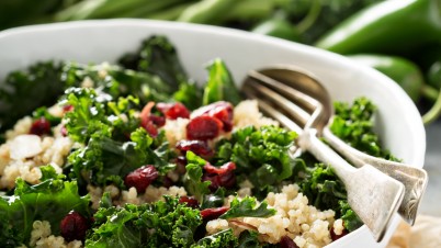 Kale salad with quinoa and cranberries