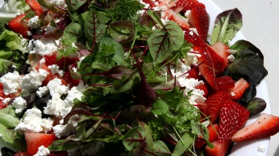 Lettuce and strawberry salad