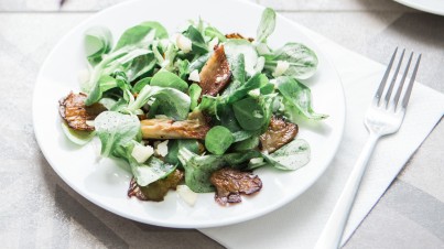 Salat von mariniertem Steinpilze und feldsalat