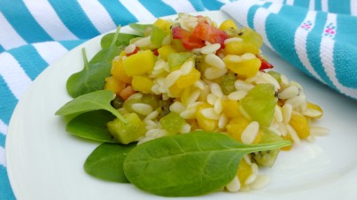 Ensalada refrescante de fruta y falsos piñones lista para navegar!