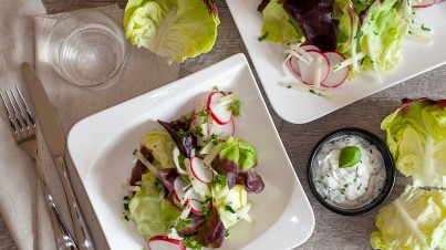 Spring salad with red lettuce hearts, kohlrabi and radishes