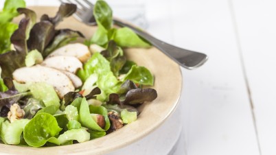 Salanova salad with celery and smoked chicken