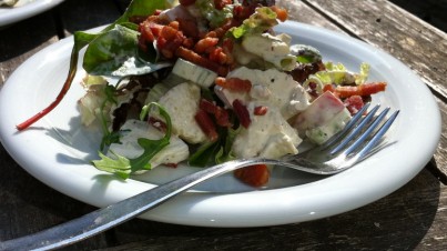 Apple and celery spring salad