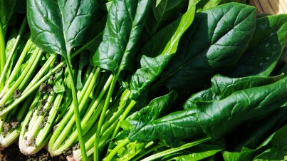 Salat mit Spinat und Pilzen Salat mit Spinat und Pilzen
