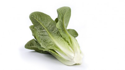 Romaine lettuce 