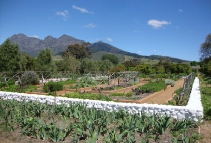 The garden at Babylonstoren, Cape Town – worth a visit!