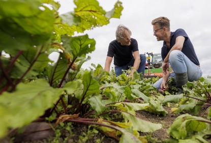 De Bietenclub gaat Nederland veroveren met biologische bietjes