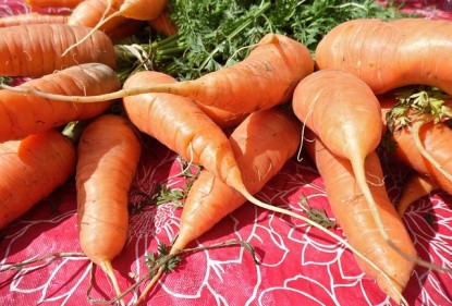 Propiedades de la zanahoria y su versatilidad en la cocina