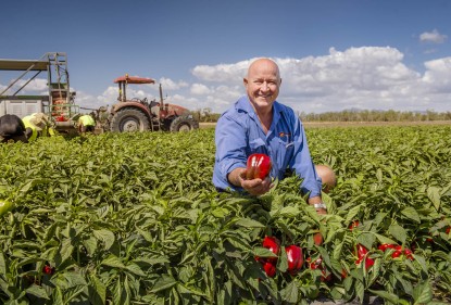 Des Chapman of Rocky Ponds Produce, Gulmu, Queensland.