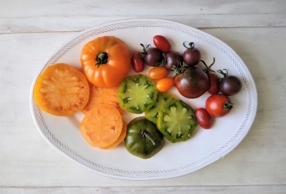 Ensaladas de verano