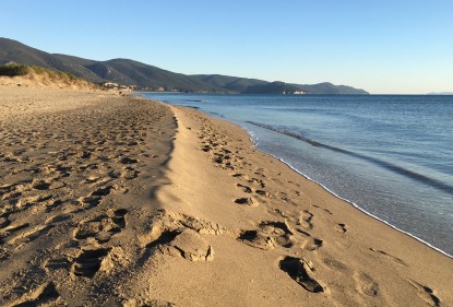 Viaggiando in Italia tra Colture e culture: Salanova®  e il parco della Maremma, tra natura e spiagge incontaminate