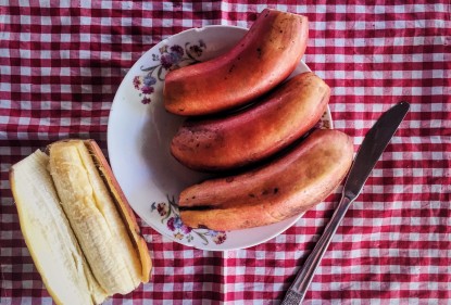 La Red banana di Cuba: un frutto da assaggiare, un’isola da scoprire