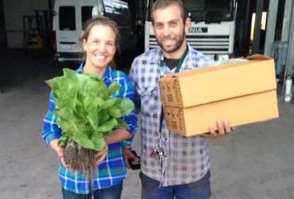 What does it take to grow salad greens?