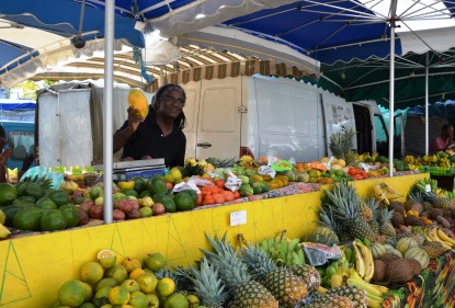 In Guadeloupe scopriamo la Christophine