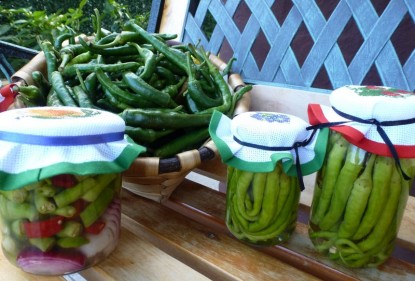 Guindillas en conserva, para aliños, aperitivos y ensaladas