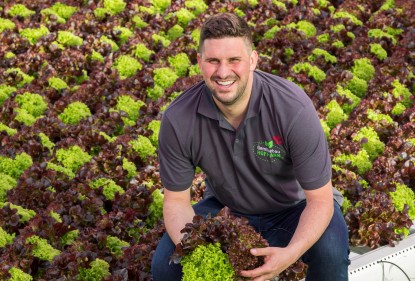 Gemüsebau Hofmann setzt auf frische, bunte Salatrio-Salate mit langer Haltbarkeit