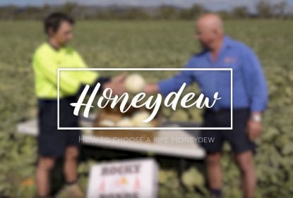 Melon farmers, Evan and Des Chapman, share tips for picking a ripe honeydew melon.