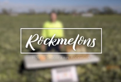 Evan Chapman of Rocky Ponds Produce, Gumlu, Australia, on how to pick the perfect rockmelon