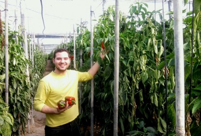 La agricultura en Almería, la huerta de Europa