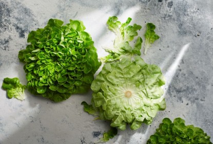 Enjoy fresh lettuce for longer - the best way to store lettuce