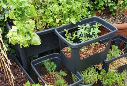 Een moestuin op het balkon, zo kweek je groente in bakken en potten