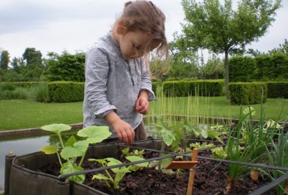 荷兰超市组织小朋友学习种植蔬菜