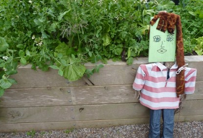 Do you have a scarecrow in your garden?