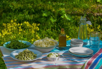 Picnics de primavera 