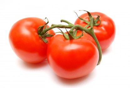 El origen del tomate