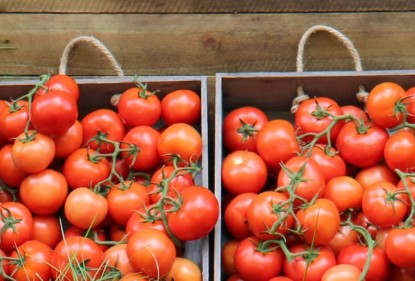Truss tomatoes are a nutritious and delicious addition to vibrant salads or meals with their intense flavour, deep red colour and succulent burst on eating. 