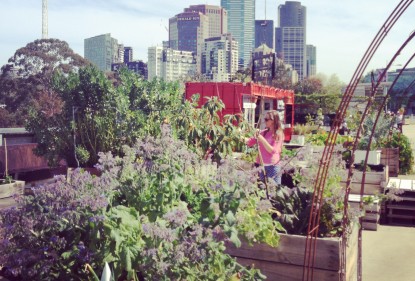 Sky gardens lift health and liveability to sustainable heights