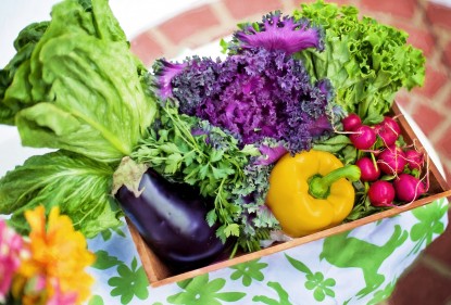 Wat ga je zaaien en planten in je moestuin? 