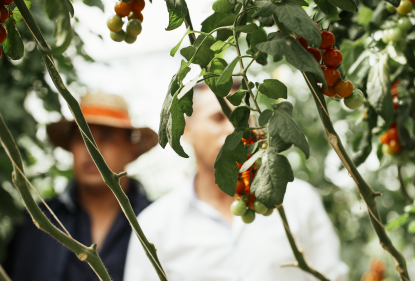 Almeria, the winter garden for organic vegetable production