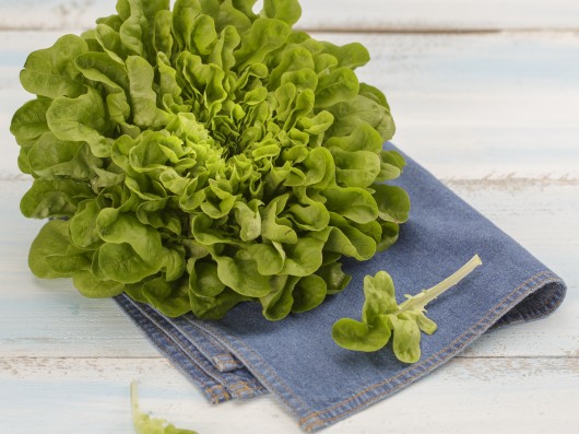 Jak uchovat saláty čerstvé a krásně zelené