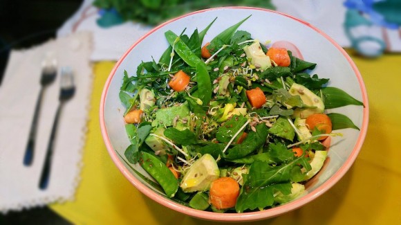 Mixed green leaf salad with sprouts