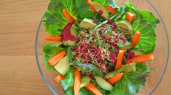 Ensalada de hojas verdes y germinados con vinagreta de cereza